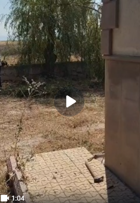 Aile Sağlığı Merkezi Bahçesi Bakım ve Temizleme Videosu
